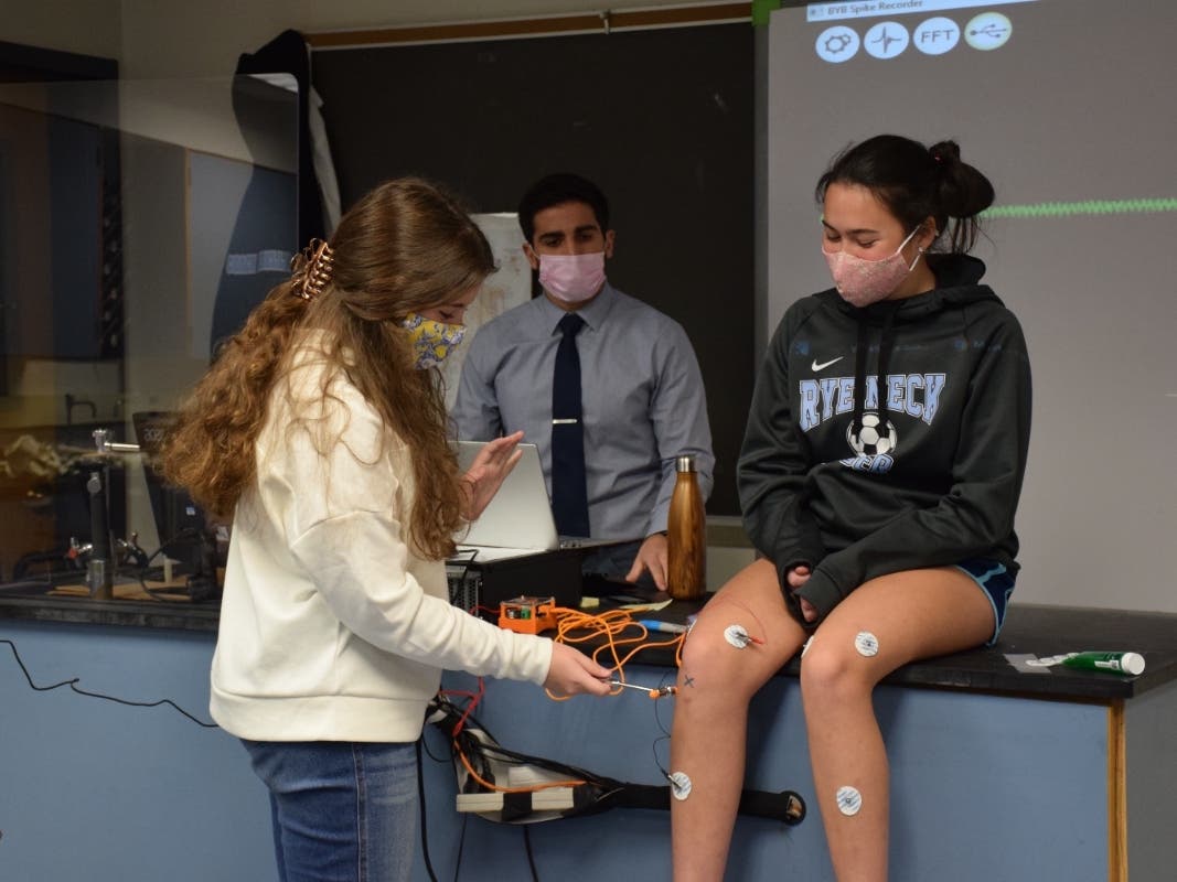 Under the guidance of teacher Matt DeBellis, Rye Neck High School students conducted an electromyography lab to further solidify their knowledge of nervous system regulation and the mechanism of skeletal muscle contraction.