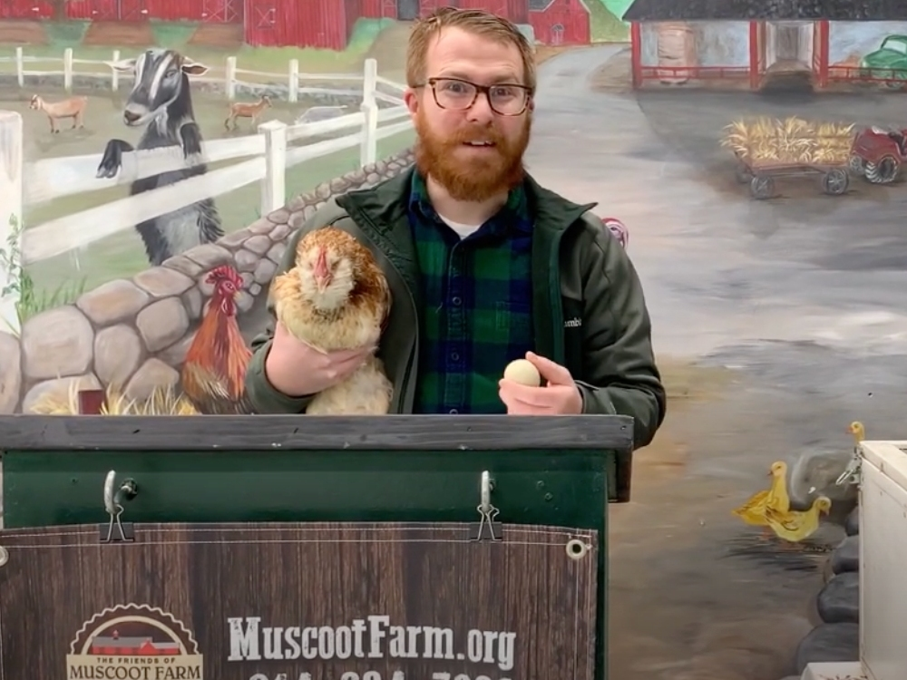 Muscoot Farm Curator Jonathon Benjamin and Cluxatawney Henrietta revealed the hen's prediction for an early spring at a ceremony Tuesday.