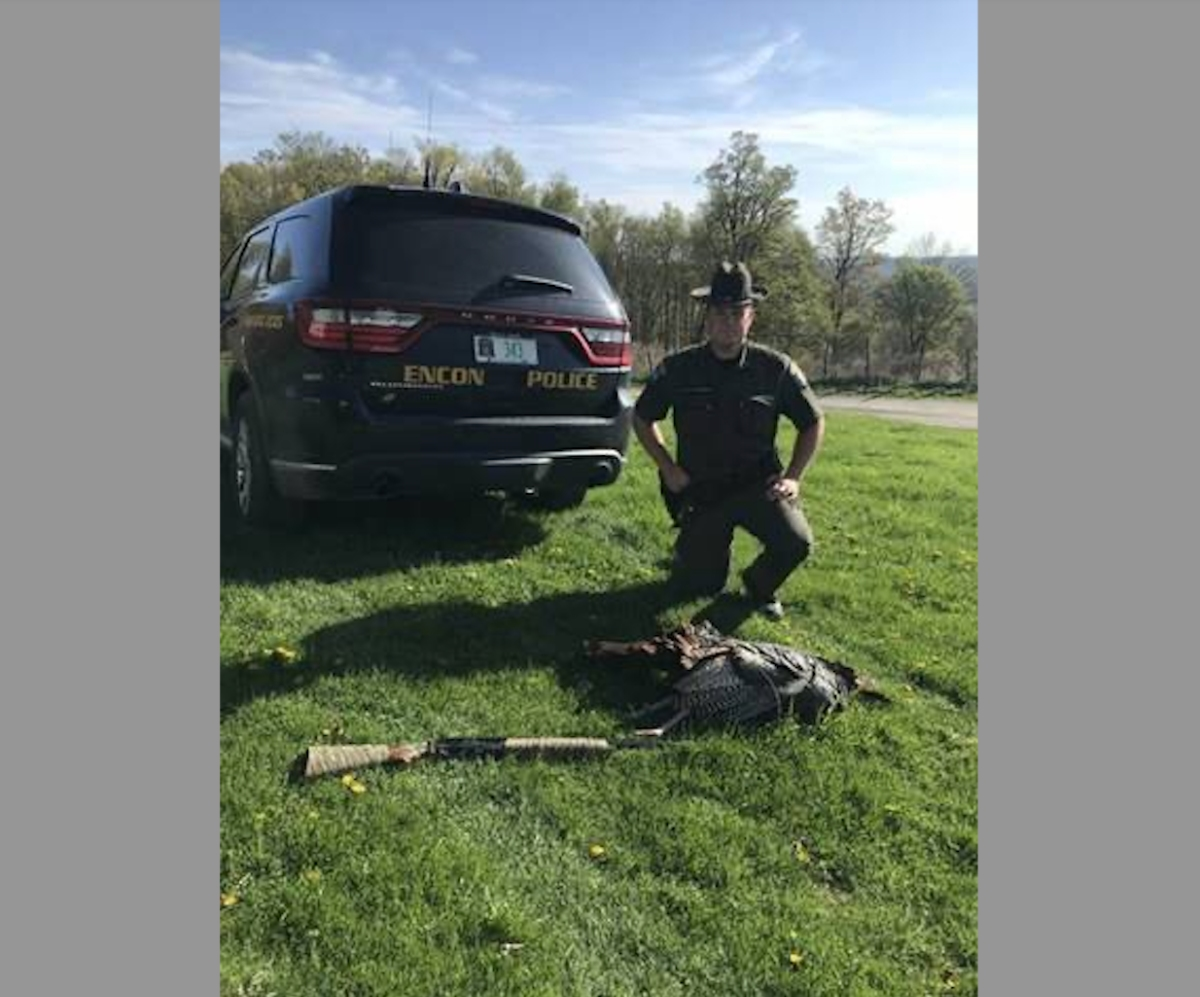 One person was accused of using bait to lure a turkey and then illegally shooting the bird.
