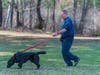 Acorn and Detective John Peters is new accelerant detection canine team with the Westchester County Police.