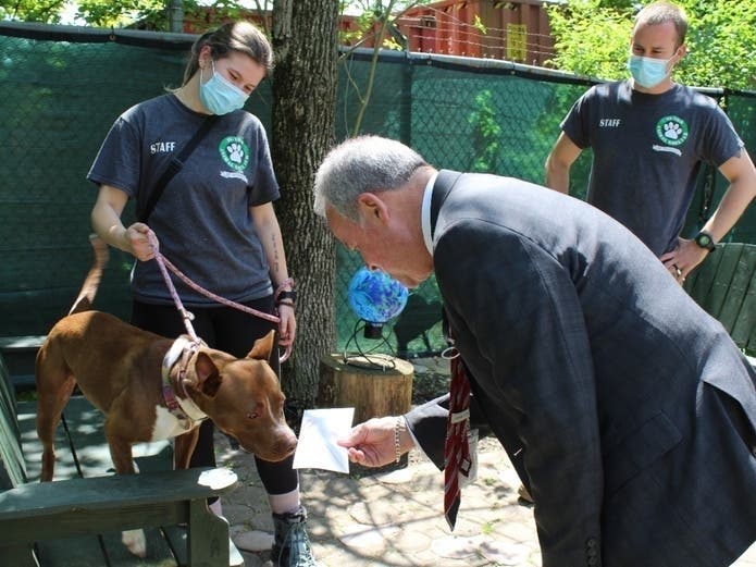 Roo presenting donations to Rockland County Executive Ed Day at Hi Tor shelter is one of the most-read articles for Wednesday in the Hudson Valley.