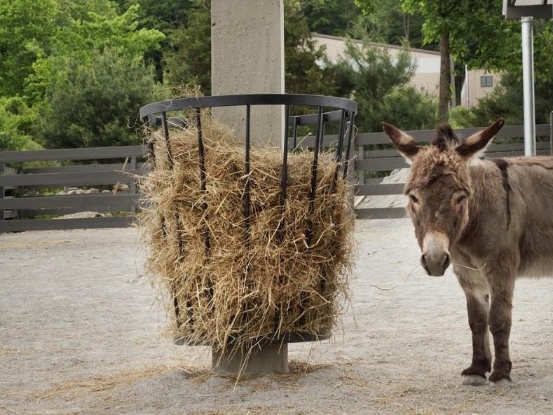 A day trip to Putnam County has a lot to offer for families.