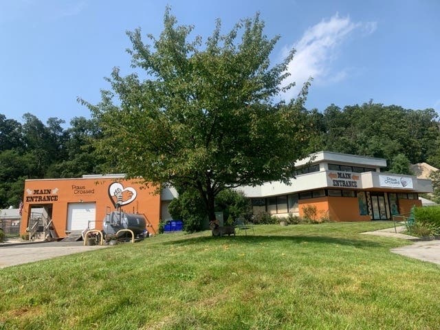 Paws Crossed will be celebrating its 5th anniversary in Elmsford on Sunday