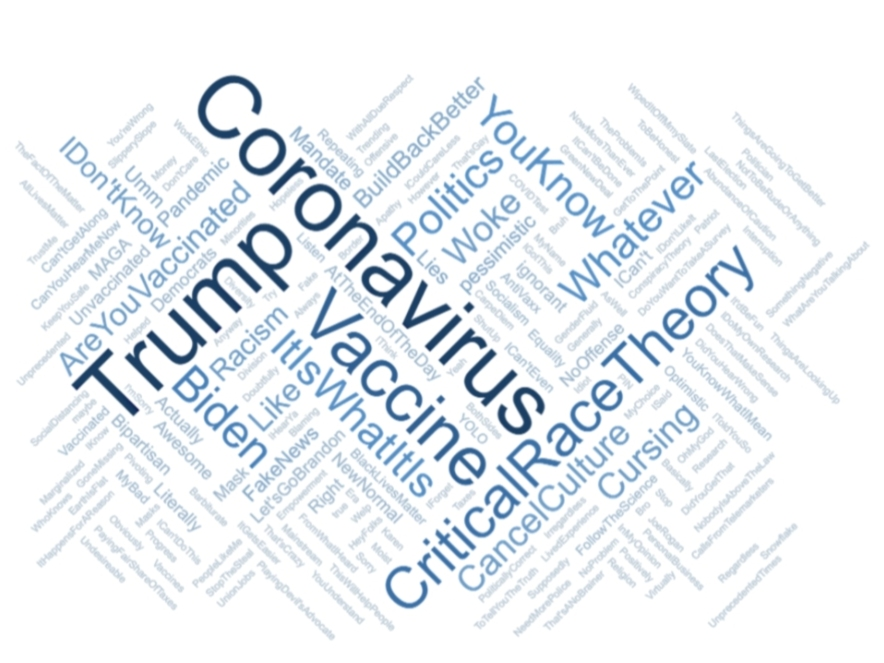 The Marist Poll asked people what they thought was the most annoying word or phrase was for 2021.