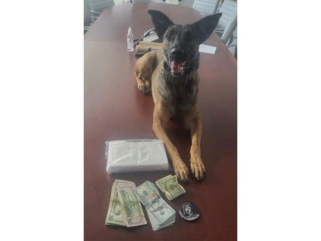 Canine Officer Finds Illegal Drugs During Traffic Stop: NYSP | Mid ...