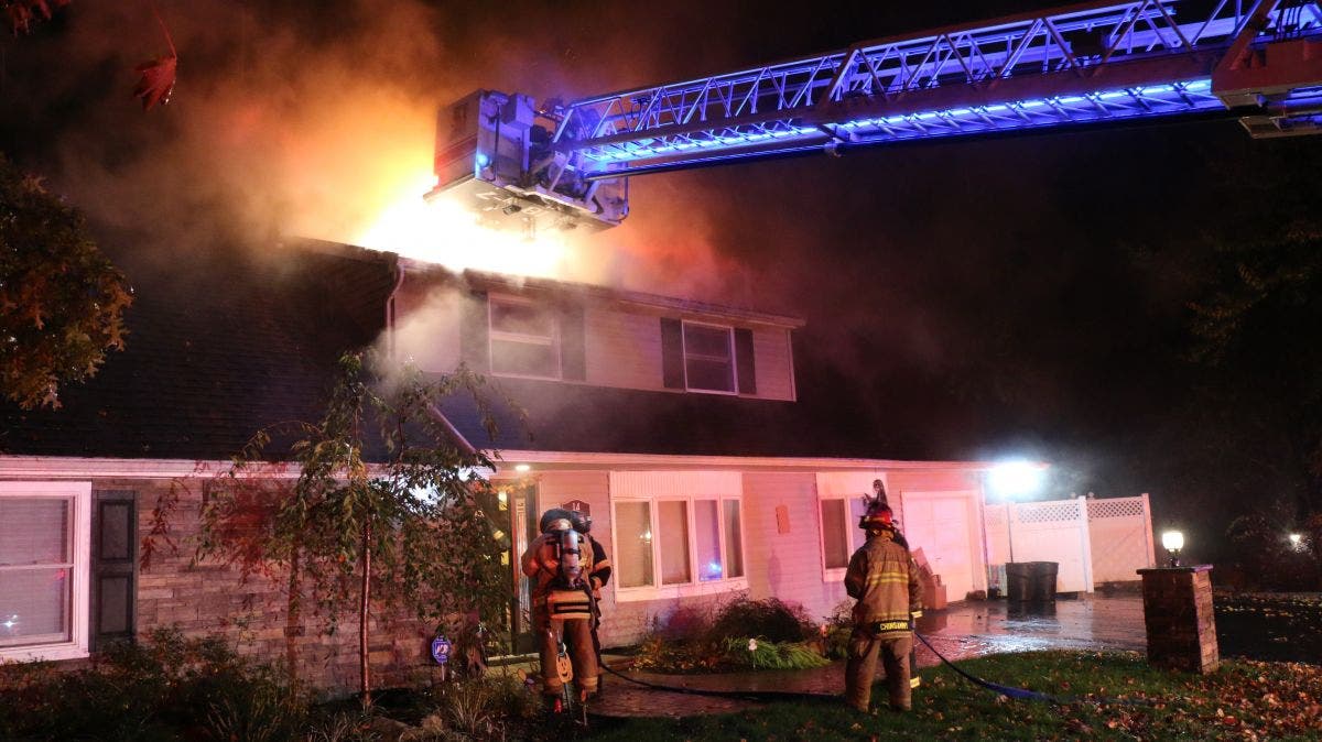 Several Cats Rescued From Farmingville House Fire Sachem, NY Patch