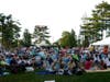 Crowds gather each summer for Curtain Call's free, outdoor, Shakespeare on the Green program.