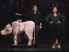 Chris Giordano & Cara Kramer star as The Baker and his wife in Curtain Call's production of INTO THE WOODS playing in The Kweskin Theatre, Stamford.