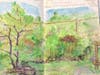 Nature Journaling in Del Ray Artisans’ Garden