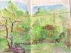 Nature Journaling in Del Ray Artisans’ Garden