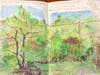 Nature Journaling in Del Ray Artisans' Garden