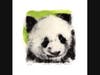 "Panda"