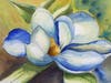 "Magnolia Blossom at Dusk"