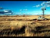 Southern Arizona Ranch Land (1977)