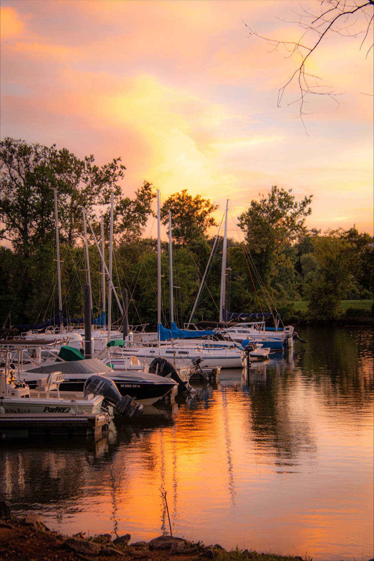“For the Love of Virginia” GWW Call for Entry Deadline Mon August 24 @ 11:59 pm 