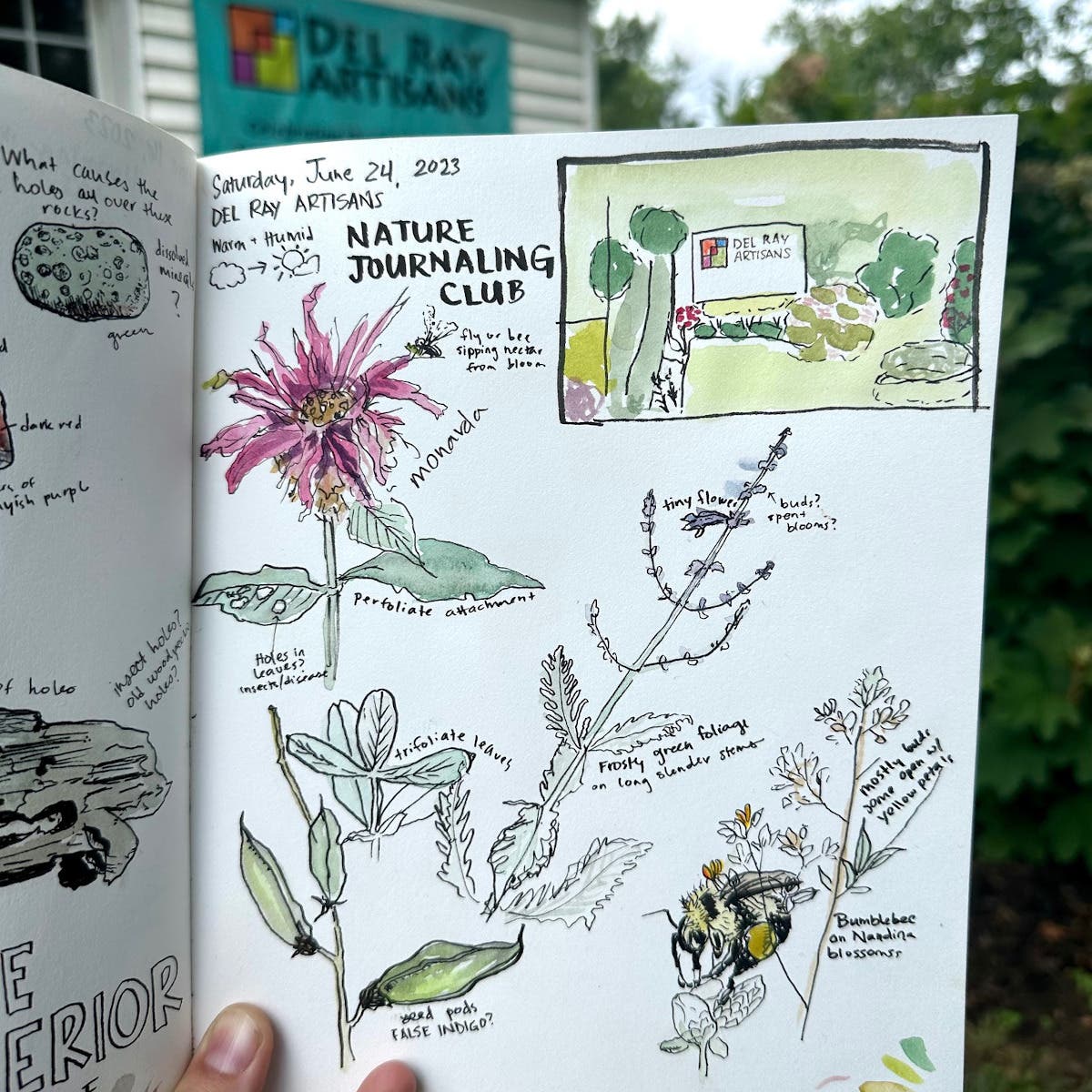 Nature Journaling Club Sat August 29 @ 10:00 am - 12:00 pm  FREE, donations appreciated 