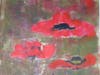 From Bouvron-Gromek's "Poppies #9"