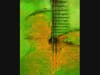"Acid Green" digital photo art by Dave Blomquist
