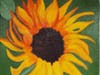 "Exeter Sunflower" Oil by Lucretia Gordon