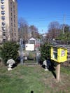 The Pop-Up Library designed by artist Alvin Clayton was installed at Lincoln Park.