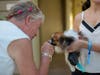 Event co-chair Margaret Chadwick greets furry friend Asal and her owner Zahra Jlayer.