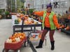 On Sunday families are invited to visit the Hudson Park Children's Greenhouse for its annual Pumpkin Patch.