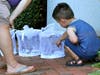 Jackson Killian of South Elgin checks the butterflies before the SHARE Wings of Hope Angel Garden Blessing & Butterfly Release on June 21 at Edward Hospital in Naperville. 