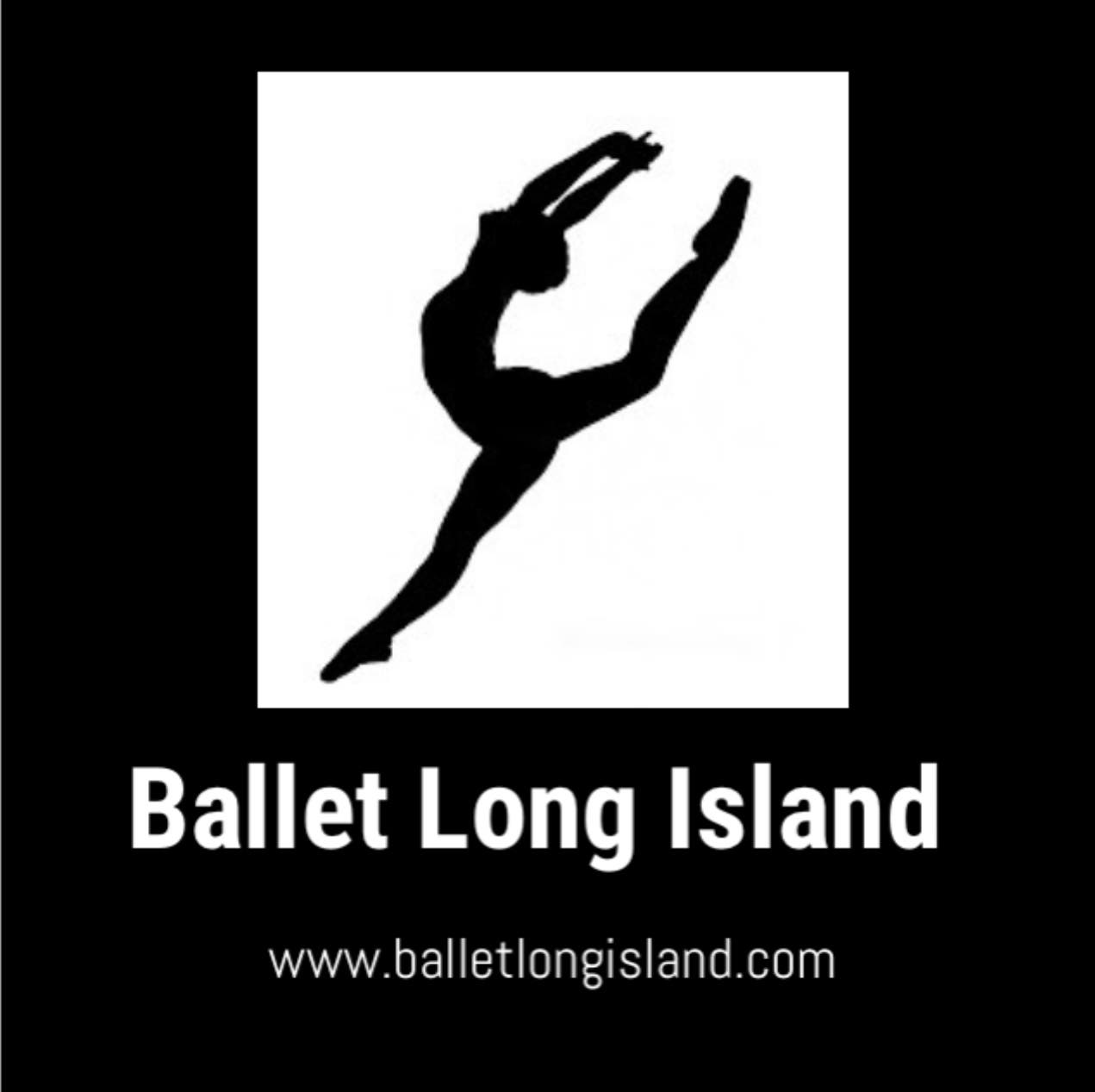Ballet Boot Camp