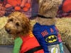 The Howl-O-Ween Doggy Costume Party at Waggles Pet Resort was socially-distanced--though these two new pals couldn't resist. The bash included a doggy costume contest, photo booth, hay maze, and bobbing for treats station. 