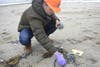 The Coast Guard has issued an alert to New Jersey and New York beachgoers that they could be stepping on some tar balls.