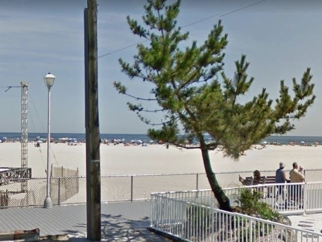 Endangered birds are nesting on Jenkinson's Beach.