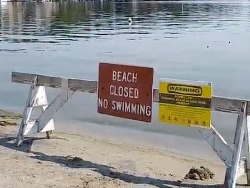Swimming was closed – and even touching the water was discouraged – after harmful algae blooms were detected.