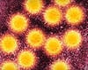 The disease has hit many counties hard, but hepatitis A has also popped up in unexpected places.