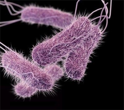 The CDC said ​a NJ company is a likely source of a new salmonella outbreak that has sickened 96 people.