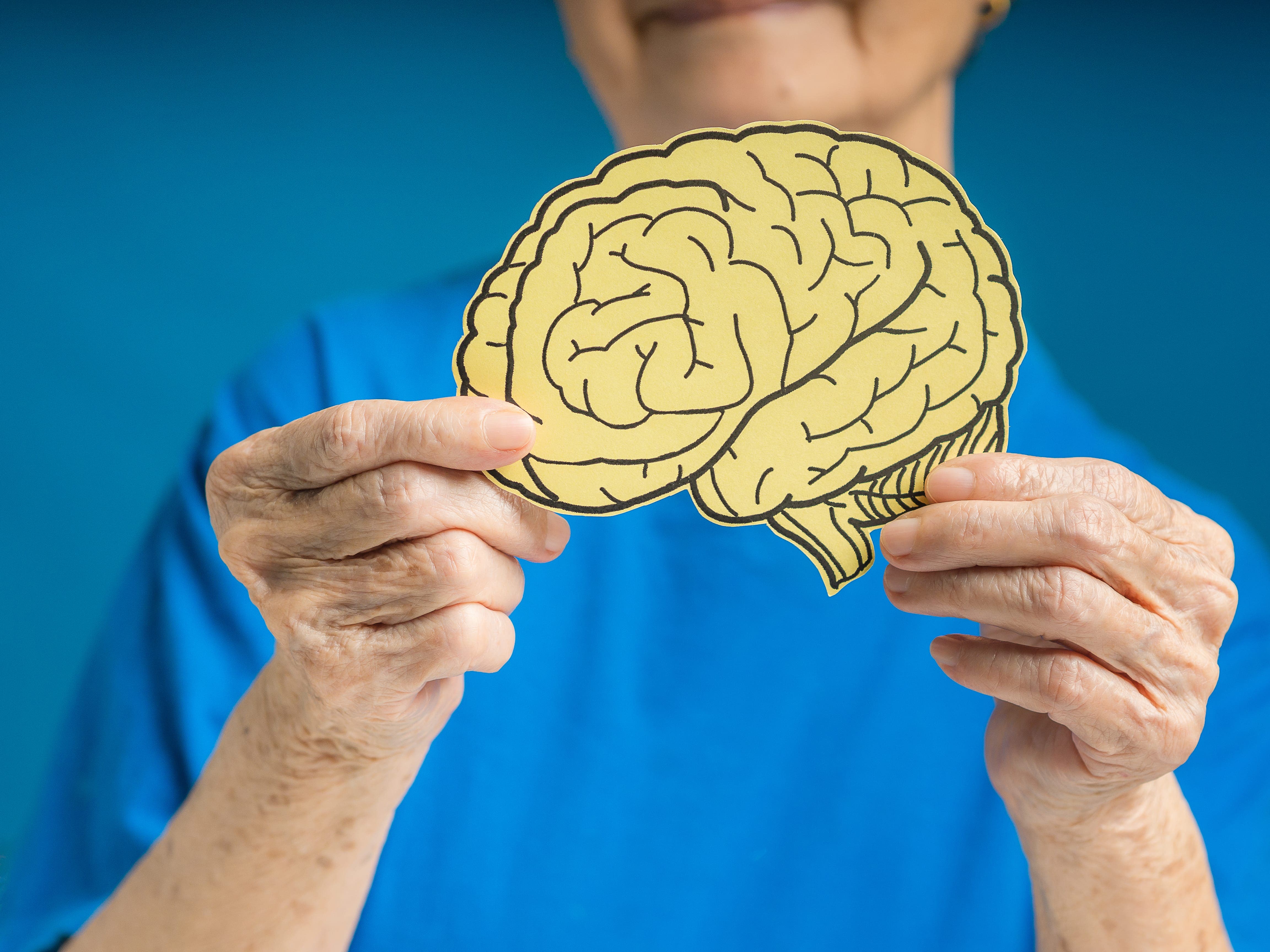 Free Brain Health Presentation For Seniors at Timbers of Shorewood