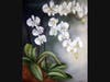 White Orchids - Pastel