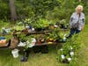 selection of members plants