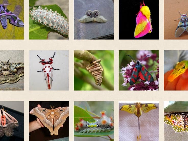 News small post card thumbnail