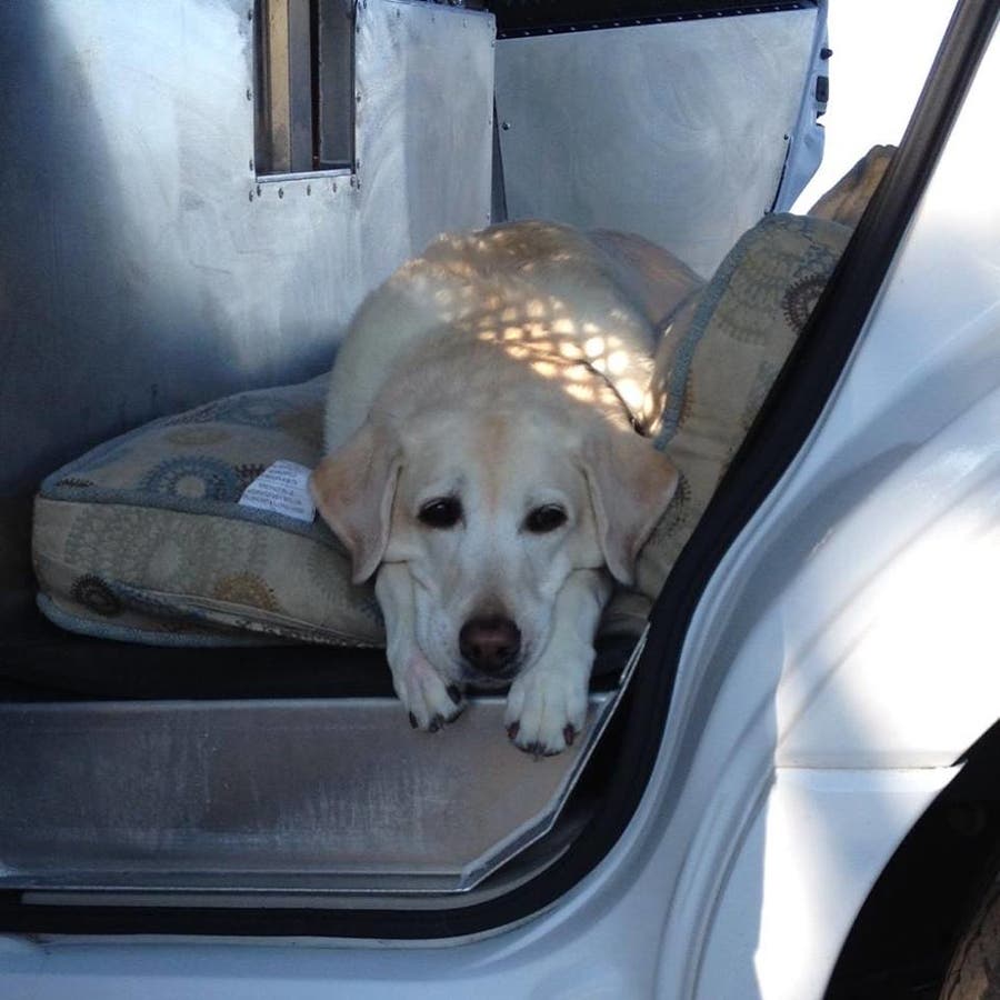 K9 Mourned By Rockland Sheriff's Office Pearl River, NY Patch