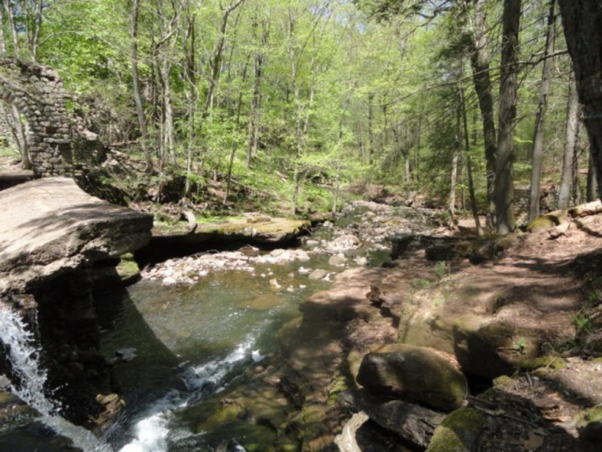 Guided Walks This Summer In Rockland New City, NY Patch