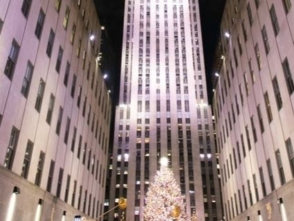 Searching for the perfect 2019 Christmas Tree, Rockefeller Center found it again in the Hudson Valley.