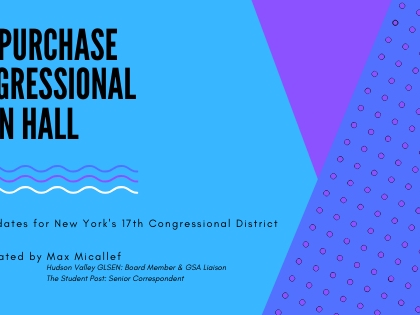 Candidates for New York's 17th District seat in Congress will answer questions