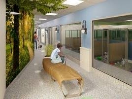 The SPCA of Westchester seeks donations to help it rebuild its crumbling campus in Briarcliff Manor. 