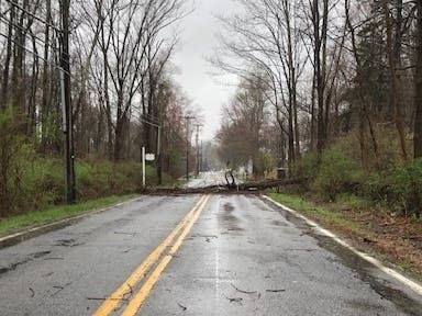 Many lost power when Monday's wind storm downed trees, limbs and wires. 