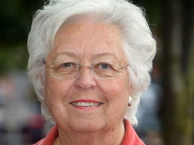 Sandra Galef seeks re-election to the New York State Assembly in District 95.