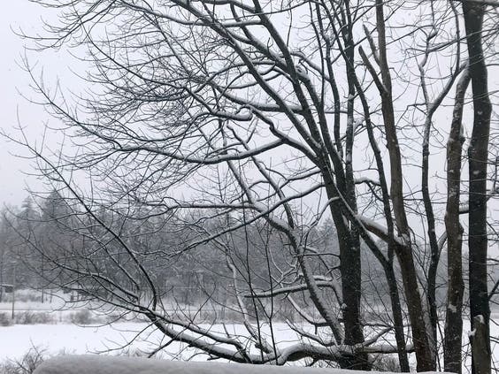 Snow is in the forecast for the Hudson Valley. 