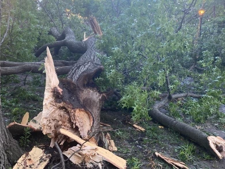 NYSEG has agreed to pay a $1.5 million settlement over failures in its response to Tropical Storm Isaias in August.