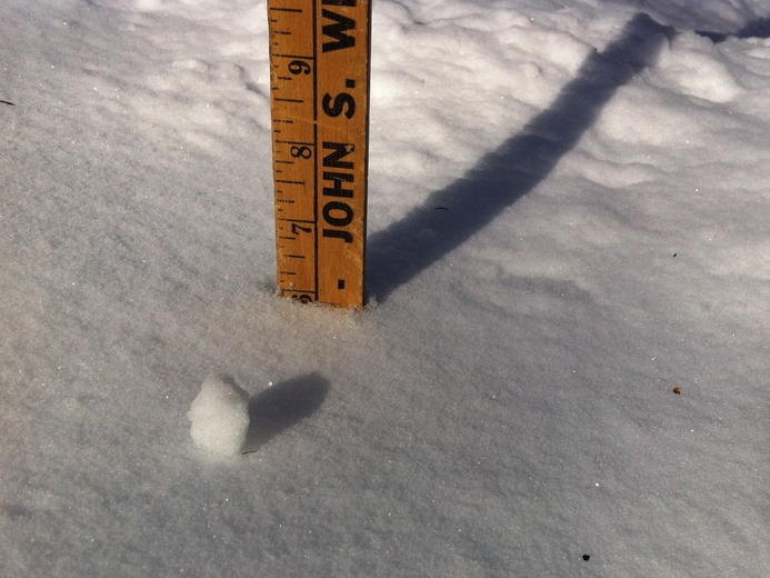 During the nor'easter, the National Weather Service issued interim snowfall amounts from overnight.