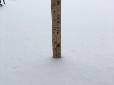 The National Weather Service released storm snow accumulation totals from the evening of Feb. 1.