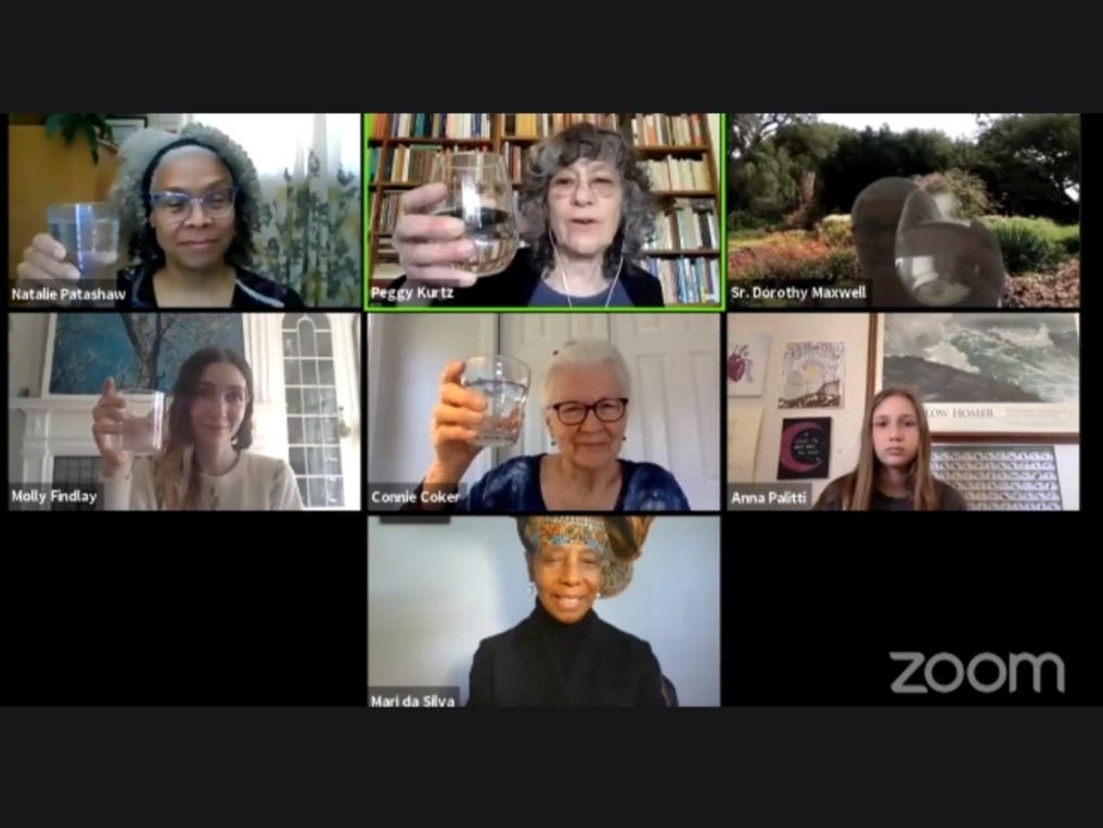 Members of the Rockland Water Coalition want the state to do more to protect the county from the newly recognized pollutants.